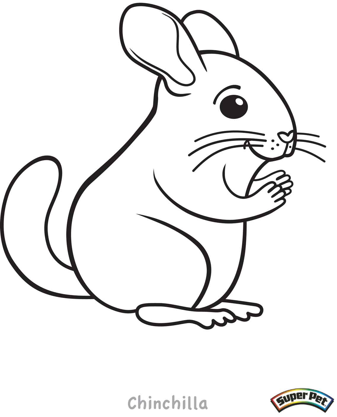 Featured image of post Chinchilla Drawing Easy chinchilla 312 7m people have watched this